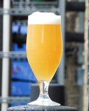 Load image into Gallery viewer, 🛸SWOOPS💨