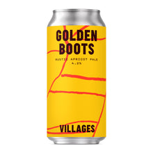 Load image into Gallery viewer, VILLAGES Mixed Case (24 × cans)
